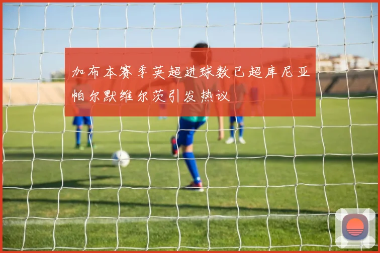 加布本赛季英超进球数已超库尼亚帕尔默维尔茨引发热议
